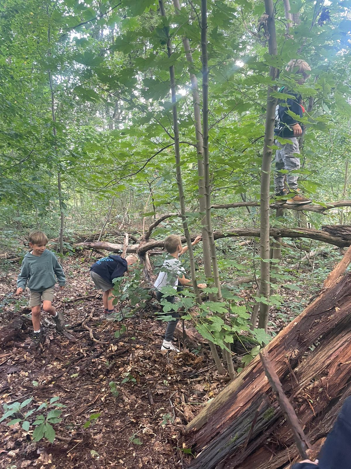 Sint-Martinus den XIIde - Opening 2024